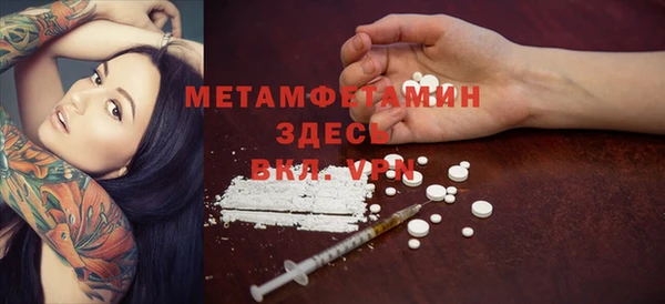 индика Горняк
