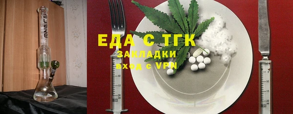 индика Горняк