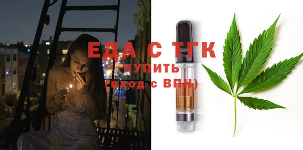 индика Горняк