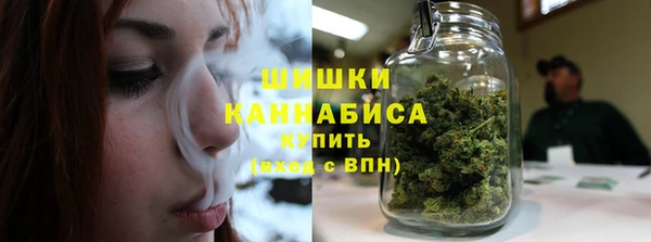 индика Горняк