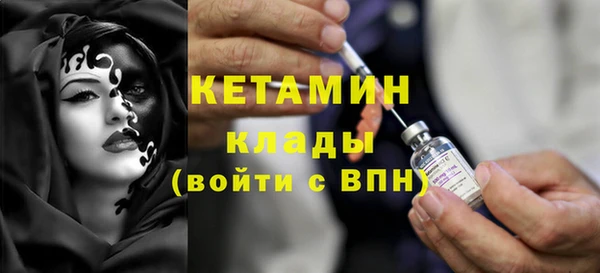 индика Горняк