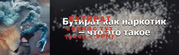 индика Горняк