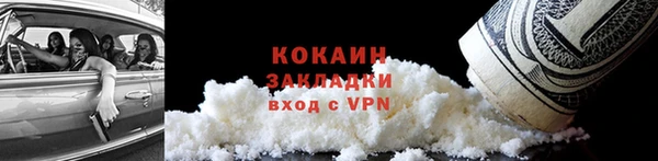 индика Горняк