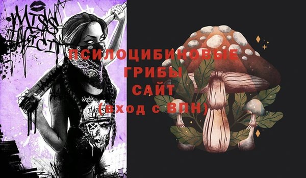 индика Вязьма
