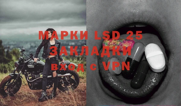 твердый Горнозаводск