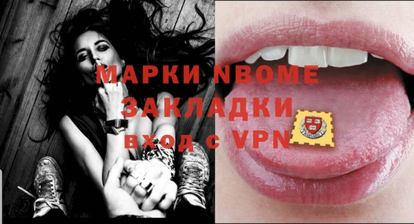индика Горняк