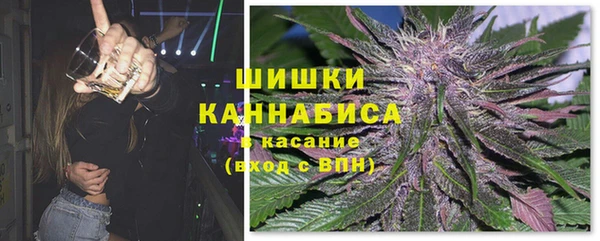 твердый Горнозаводск