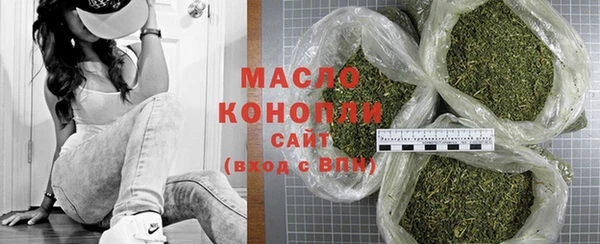 индика Горняк