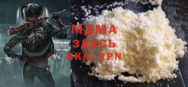 индика Горняк