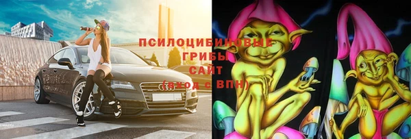 индика Горняк