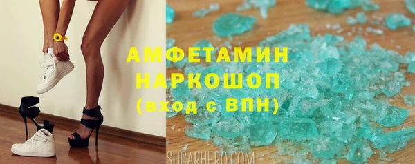 индика Горняк