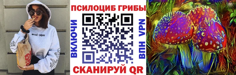 Псилоцибиновые грибы Psilocybe  купить наркотик  Заполярный 